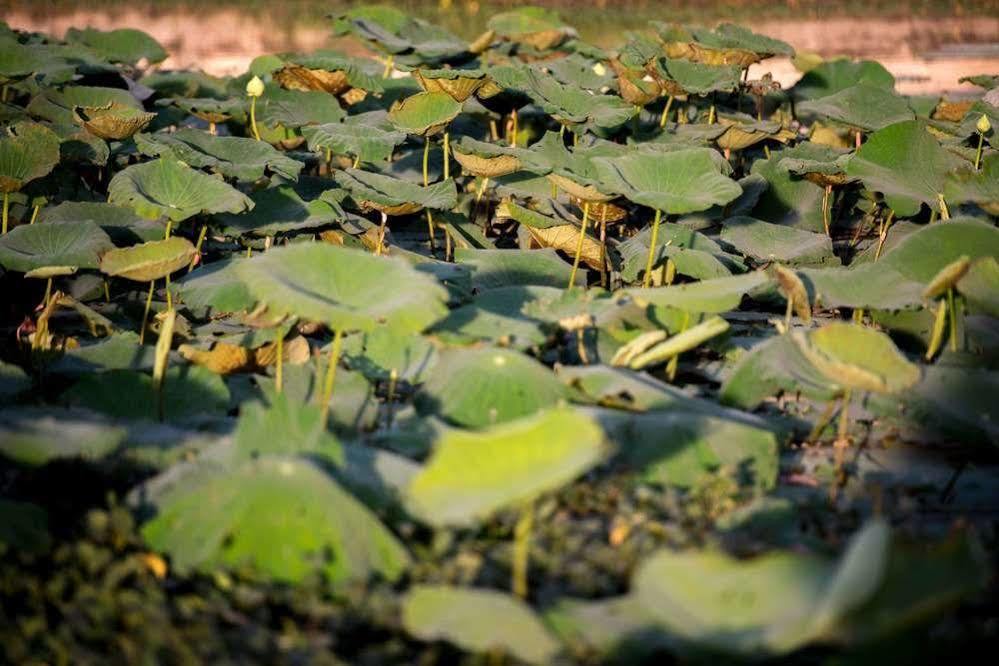 Daroth Angkor Boutique Hotell Siem Reap Eksteriør bilde